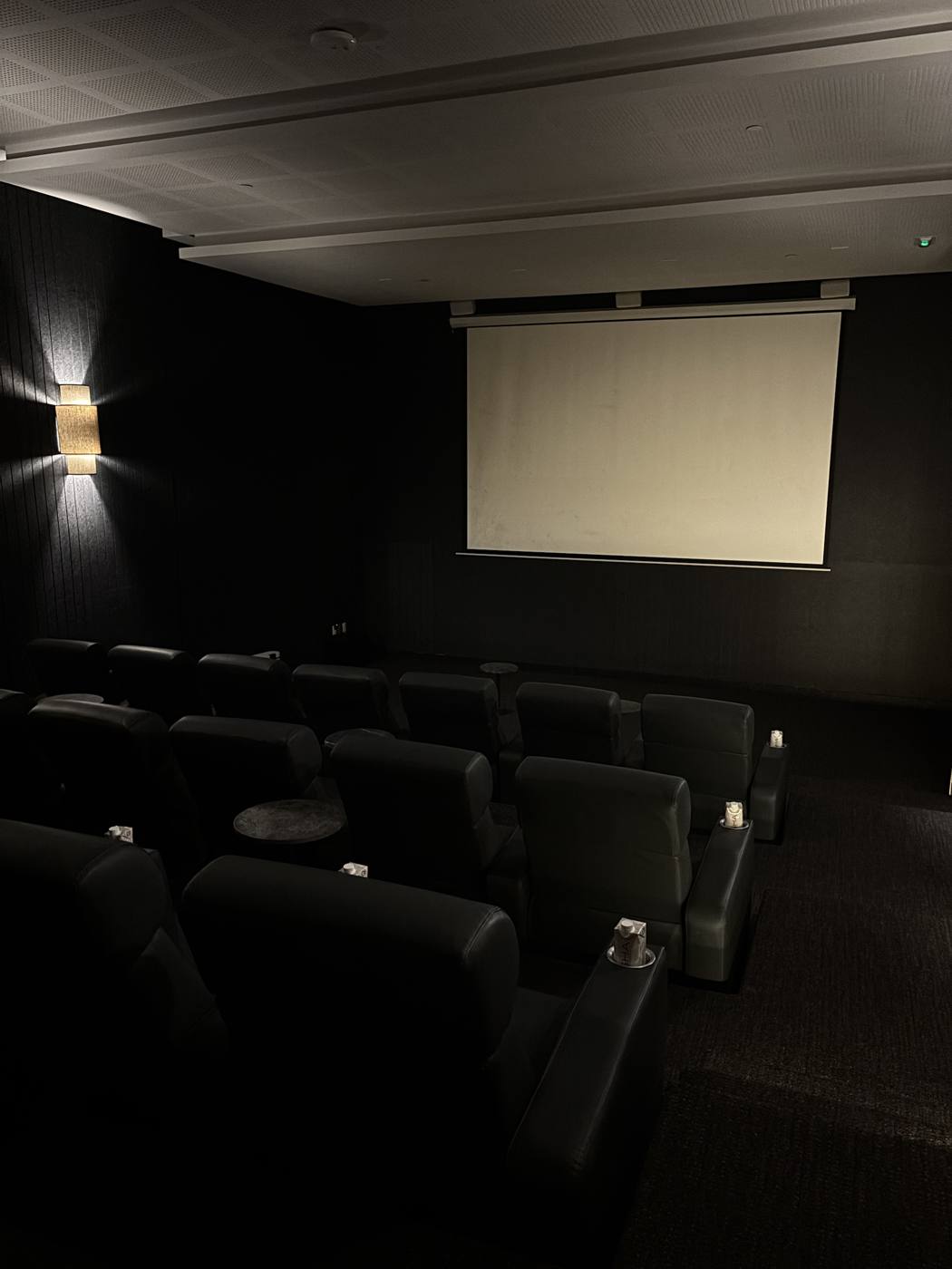 The small in-house cinema